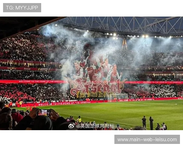 球迷闯入球场事件增加，英超加强安保措施