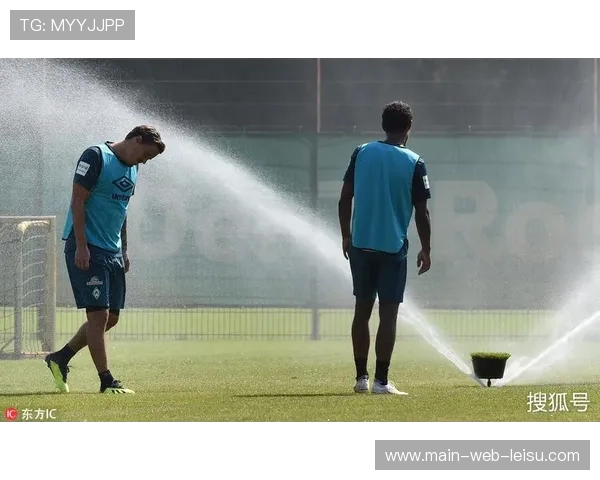 德国球场加热系统升级计划，应对极端低温天气